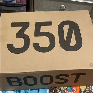 Yeezy 350 clay size3